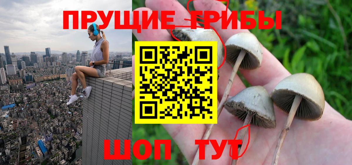 Псилоцибиновые грибы прущие грибы Нягань