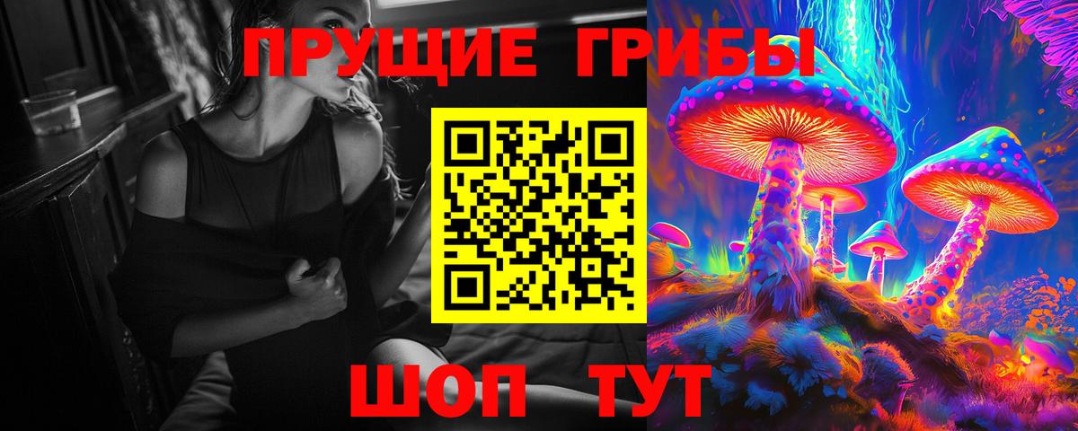 Нягань  Псилоцибиновые грибы Cubensis  Галлюциногенные грибы MAGIC MUSHROOMS  Вход с VPN 